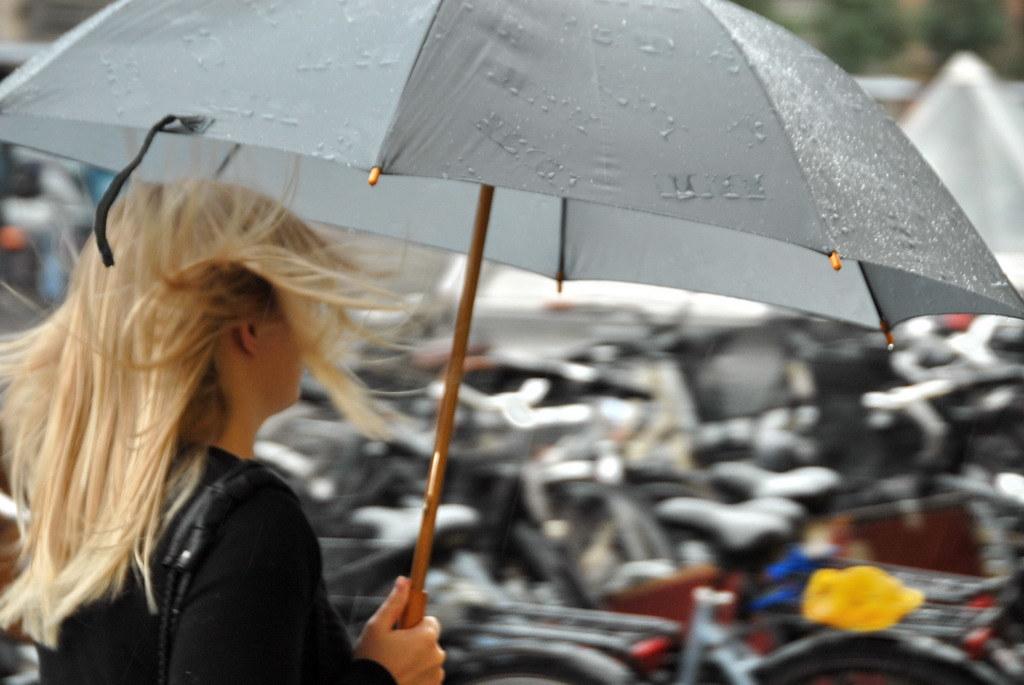 Copenhagen Small Businesses Face Five Critical Market Shifts This Summer